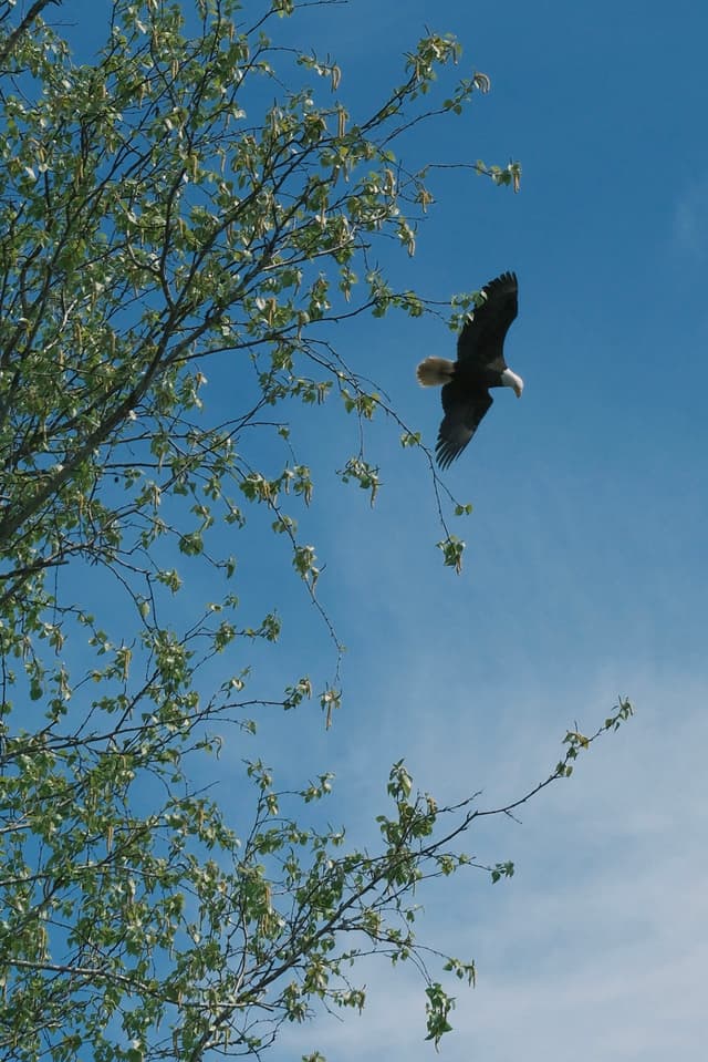 18 APR 25