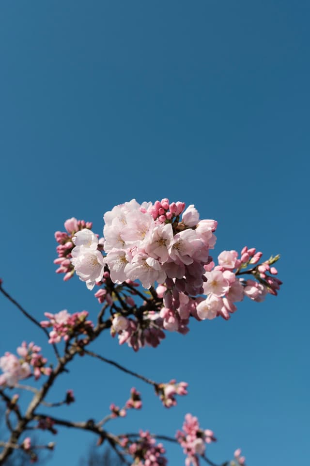 30 MAR 25