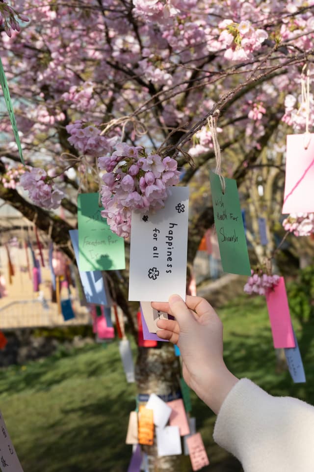 30 MAR 25